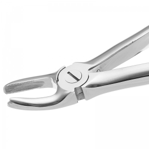 Dental Extraction Forceps English Pattern 