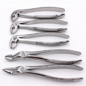 Dental Extraction Forceps English Pattern 