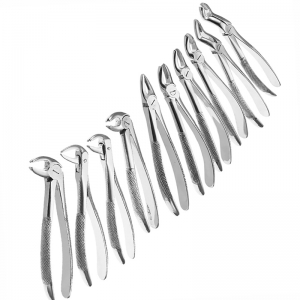 Dental Extraction Forceps English Pattern 