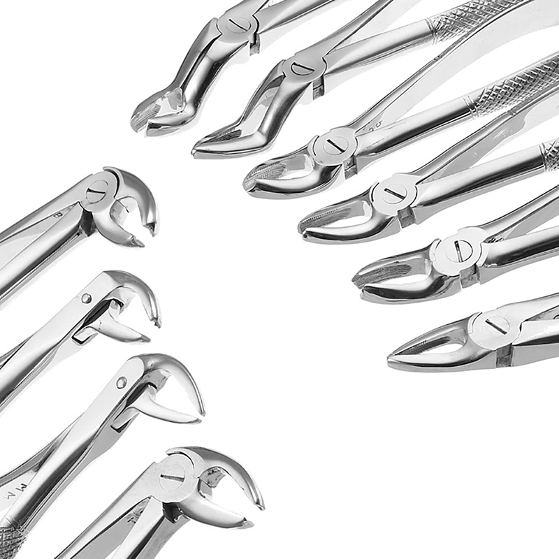 Dental Extraction Forceps English Pattern 